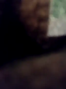 lucho2328 online show from 11, 9, 2025