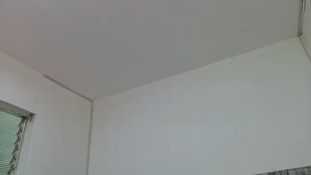 Lizbeth Rouse online show from 5, 10, 2025