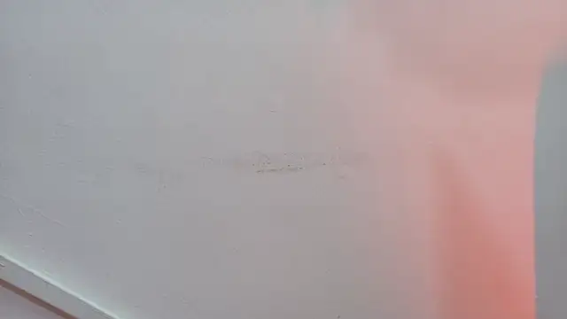 Lizbeth Rouse online show from 24, 10, 2025