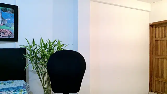 Allhondra online show from 14, 11, 2025