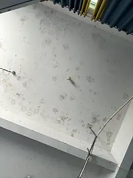 coco-o online show from 26, 9, 2025