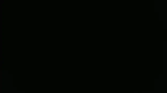 ParisAndVi online show from 11, 11, 2025