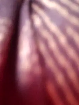 Tamilreethu online show from 5, 10, 2025