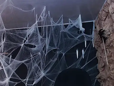 kattypurple online show from 11, 10, 2025