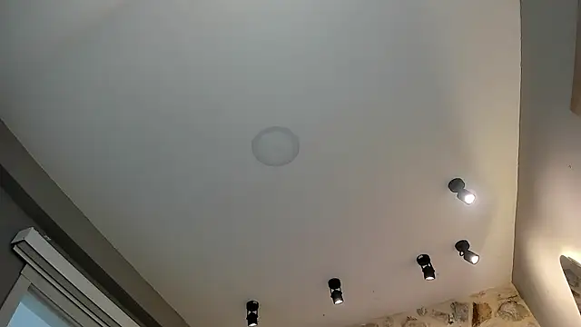 VenusBlazer online show from 14, 2, 2026