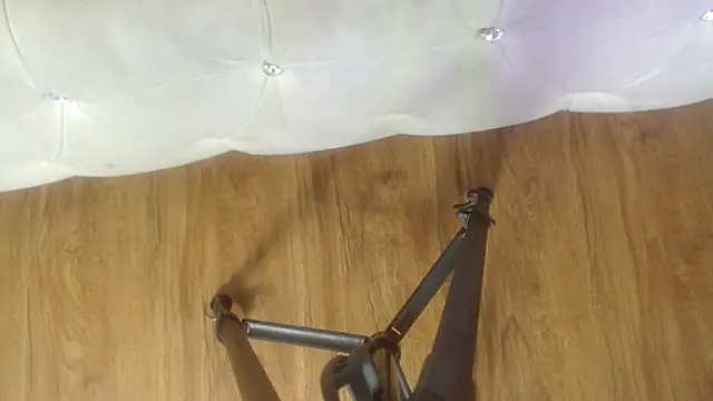 Snapshot of RylieRoss chatting on 27, 11, 2025 RylieRoss online show from 27, 11, 2025