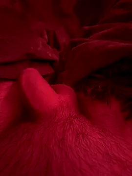 Snapshot of couplefuck__ chatting on 16, 12, 2025 couplefuck online show from 16, 12, 2025