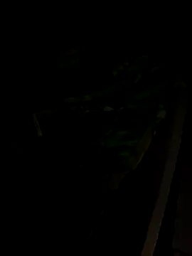 Snapshot of sr_dias chatting on 13, 11, 2025 sr dias online show from 13, 11, 2025