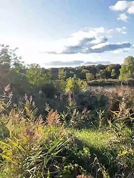 Snapshot of FavoriteKira chatting on 20, 9, 2025 FavoriteKira online show from 20, 9, 2025