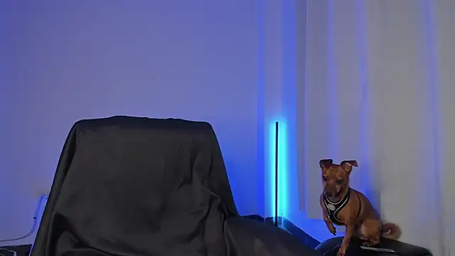 Snapshot of nathan_blake chatting on 19, 12, 2025 nathan blake online show from 19, 12, 2025