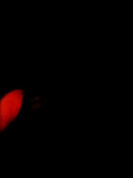 NoxiousFilename online show from 22, 12, 2025