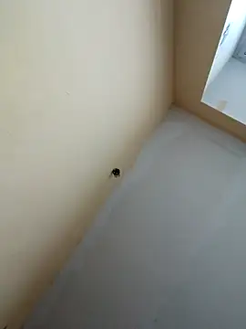 Snapshot of dream32222 chatting on 30, 10, 2025 dream32222 online show from 30, 10, 2025