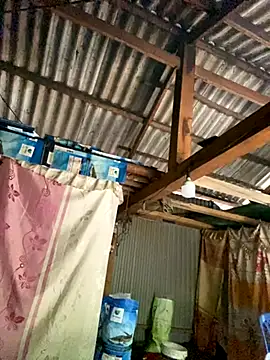 Snapshot of PhanHaa chatting on 20, 10, 2025 PhanHaa online show from 20, 10, 2025