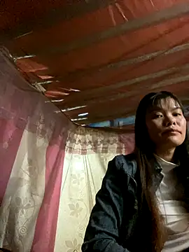 Snapshot of PhanHaa chatting on 6, 11, 2025 PhanHaa online show from 6, 11, 2025