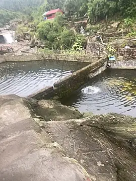 Snapshot of PhanHaa chatting on 10, 11, 2025 PhanHaa online show from 10, 11, 2025