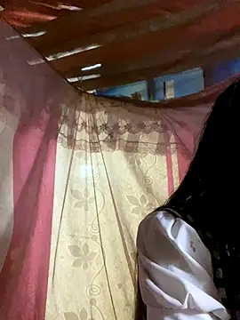 Snapshot of PhanHaa chatting on 23, 11, 2025 PhanHaa online show from 23, 11, 2025