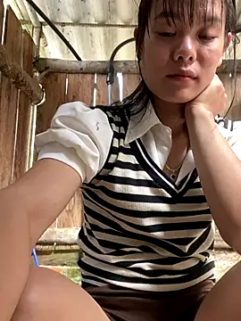 Snapshot of PhanHaa chatting on 23, 12, 2025 PhanHaa online show from 23, 12, 2025