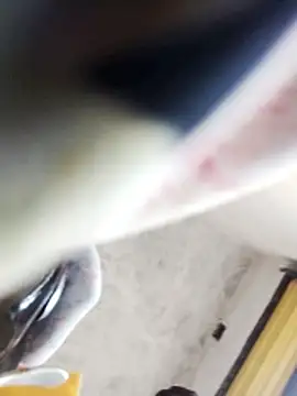 Snapshot of Bhavna_hot chatting on 9, 2, 2026 Bhavna hot online show from 9, 2, 2026