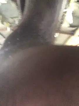 kavi1q1 online show from 1, 11, 2025