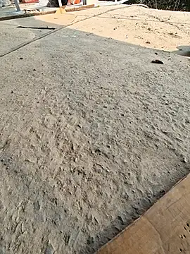 UP16LT5355 online show from 23, 11, 2025