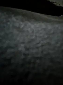 UP16LT5355 online show from 24, 11, 2025