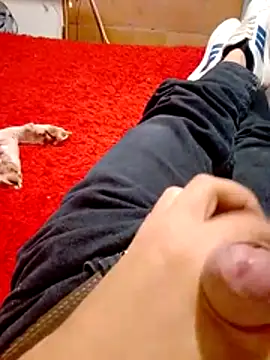 Zesa7 online show from 5, 2, 2026