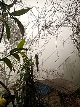 quynhkoolbae online show from 28, 2, 2026