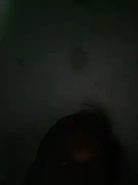 akshant1234 online show from 8, 10, 2025