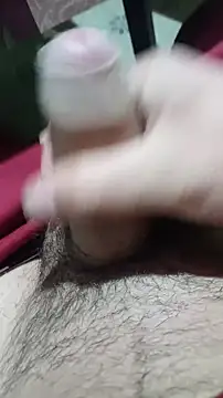 NikolasXL01 online show from 25, 11, 2025