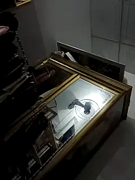 cogiaodam online show from 3, 12, 2025