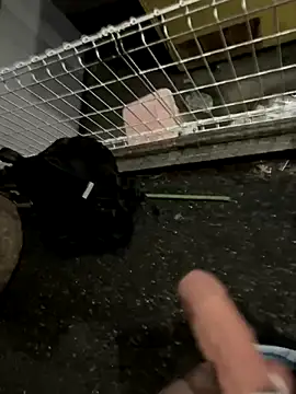 Snapshot of rinne0110 chatting on 13, 9, 2025 rinne0110 online show from 13, 9, 2025