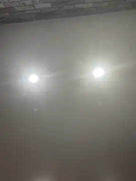 Poppy frankie online show from 22, 9, 2025