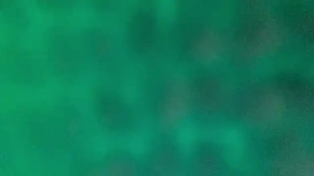 BROsister online show from 26, 2, 2026