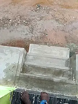 Snapshot of dolphiinn chatting on 16, 10, 2025 dolphiinn online show from 16, 10, 2025