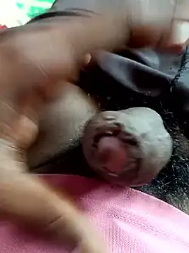 Snapshot of dolphiinn chatting on 4, 11, 2025 dolphiinn online show from 4, 11, 2025