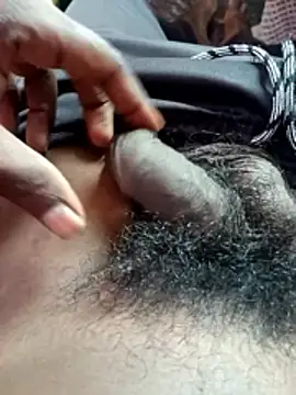 Snapshot of dolphiinn chatting on 5, 11, 2025 dolphiinn online show from 5, 11, 2025