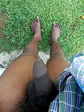 Snapshot of dolphiinn chatting on 7, 11, 2025 dolphiinn online show from 7, 11, 2025