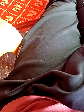 Snapshot of dolphiinn chatting on 12, 11, 2025 dolphiinn online show from 12, 11, 2025