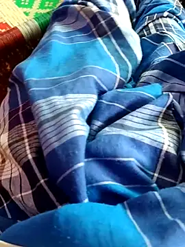 Snapshot of dolphiinn chatting on 14, 11, 2025 dolphiinn online show from 14, 11, 2025