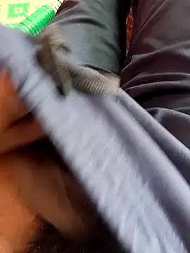 Snapshot of dolphiinn chatting on 20, 11, 2025 dolphiinn online show from 20, 11, 2025