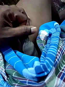 Snapshot of dolphiinn chatting on 22, 11, 2025 dolphiinn online show from 22, 11, 2025