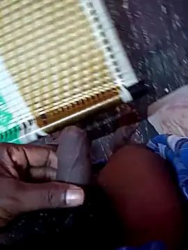 Snapshot of dolphiinn chatting on 24, 11, 2025 dolphiinn online show from 24, 11, 2025