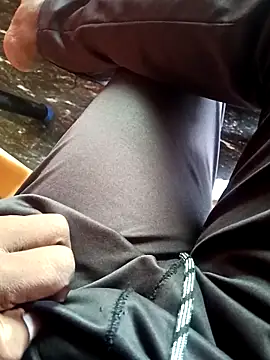 Snapshot of dolphiinn chatting on 26, 11, 2025 dolphiinn online show from 26, 11, 2025