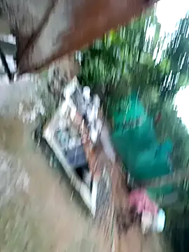 Snapshot of dolphiinn chatting on 29, 11, 2025 dolphiinn online show from 29, 11, 2025