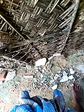 Snapshot of dolphiinn chatting on 30, 11, 2025 dolphiinn online show from 30, 11, 2025