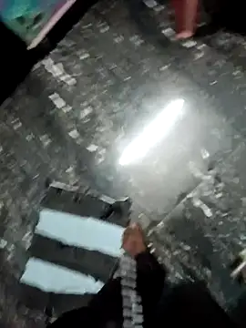 Snapshot of dolphiinn chatting on 4, 12, 2025 dolphiinn online show from 4, 12, 2025