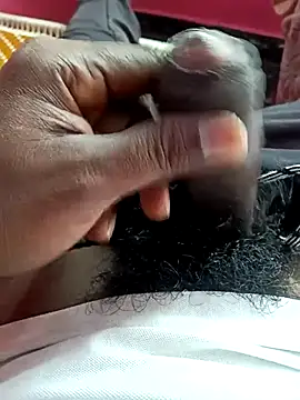 Snapshot of dolphiinn chatting on 5, 12, 2025 dolphiinn online show from 5, 12, 2025