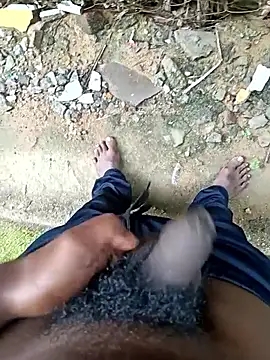 Snapshot of dolphiinn chatting on 17, 12, 2025 dolphiinn online show from 17, 12, 2025