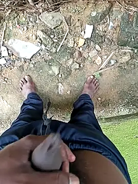 Snapshot of dolphiinn chatting on 18, 12, 2025 dolphiinn online show from 18, 12, 2025