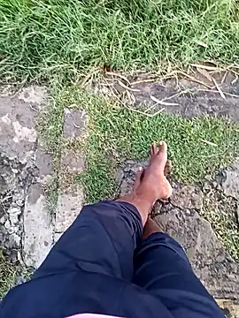 Snapshot of dolphiinn chatting on 23, 12, 2025 dolphiinn online show from 23, 12, 2025